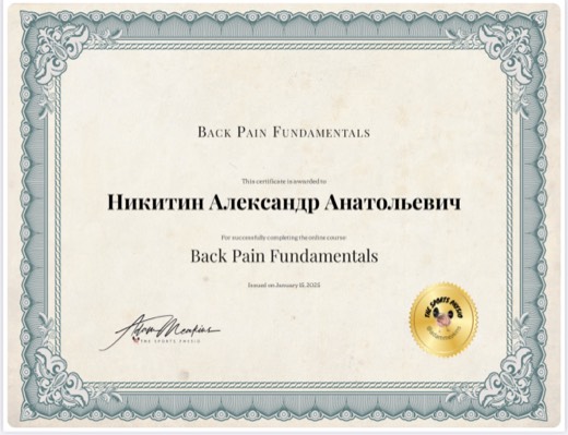 Back Pain Fundamentals · The Sports Physio, 2025